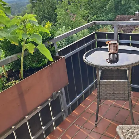 扎克森斯坦布里克公寓 *
